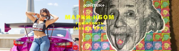 мдпв Краснослободск