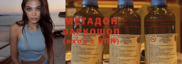 прущие грибы Лабытнанги