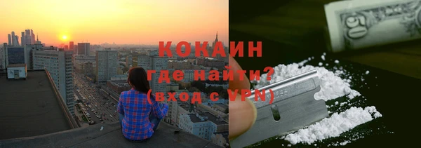 мдпв Краснослободск