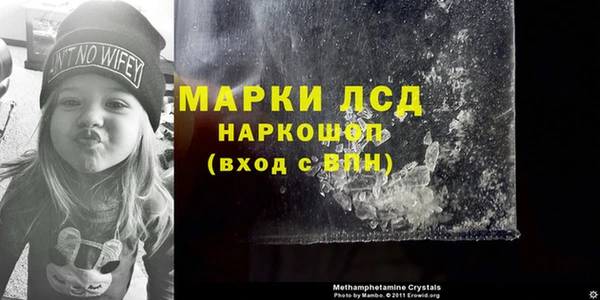 гашик Ладушкин