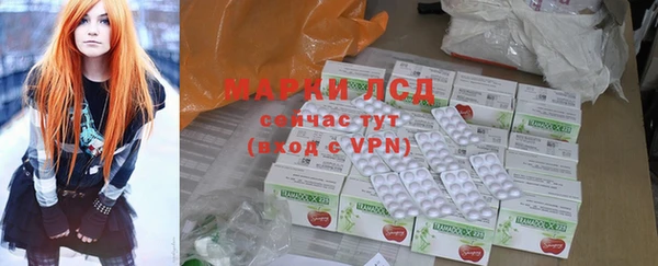 прущие грибы Лабытнанги