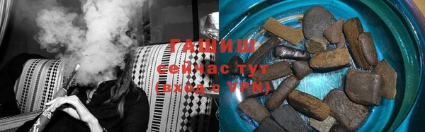мдпв Краснослободск