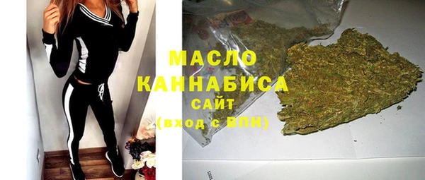прущие грибы Лабытнанги