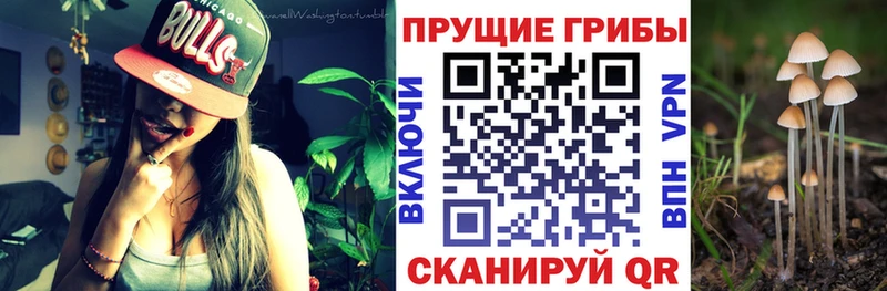 Галлюциногенные грибы мухоморы  Купить где  Воркута 